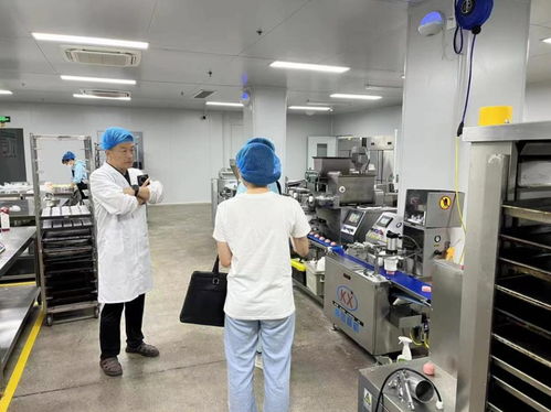 淄博淄川 四個(gè)提升助力食品生產(chǎn)企業(yè)高質(zhì)效發(fā)展，電子產(chǎn)品技術(shù)開(kāi)發(fā)與銷(xiāo)售融合賦能